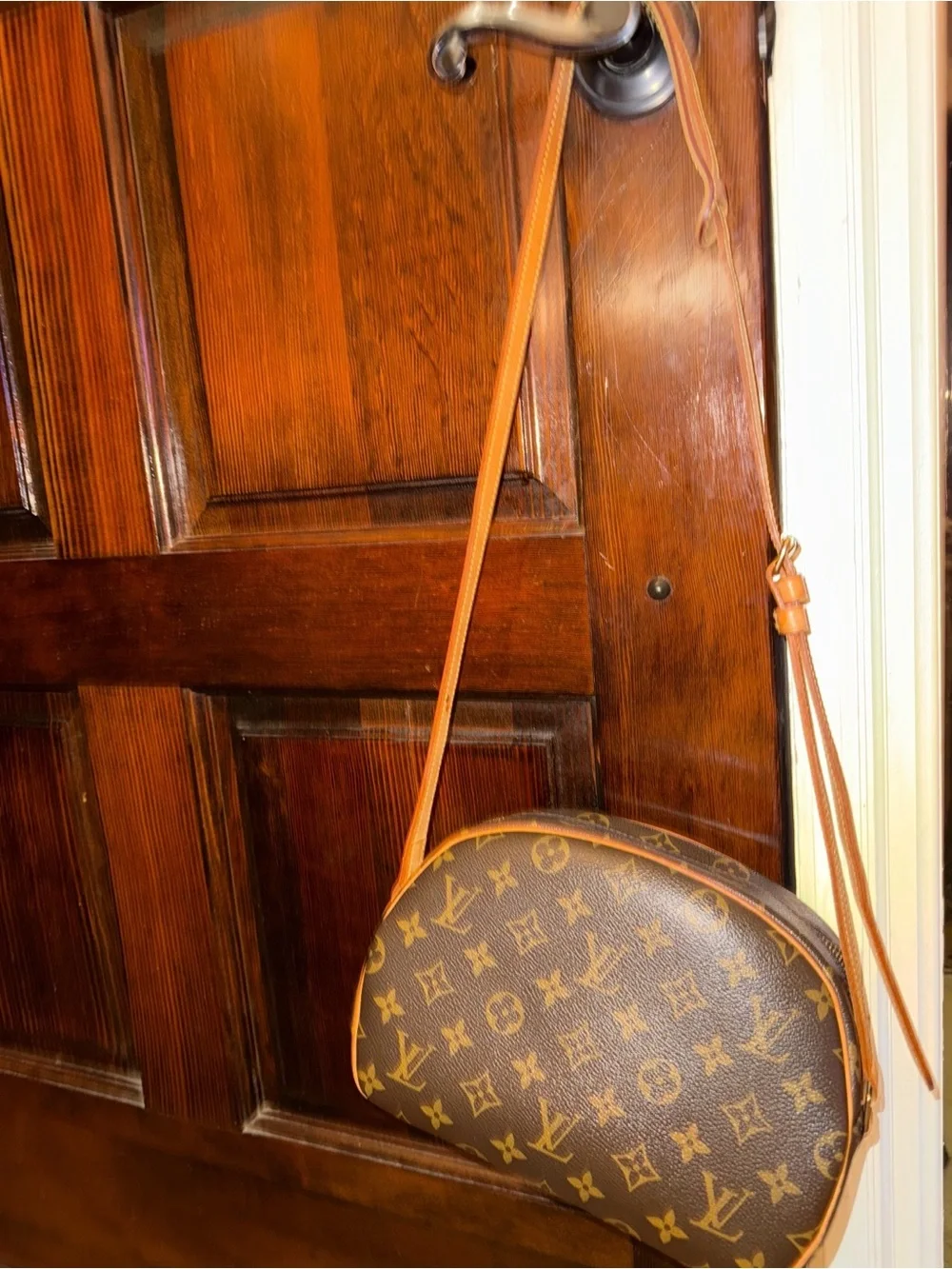 Louis Vuitton Monogram Blois Crossbody Bag
